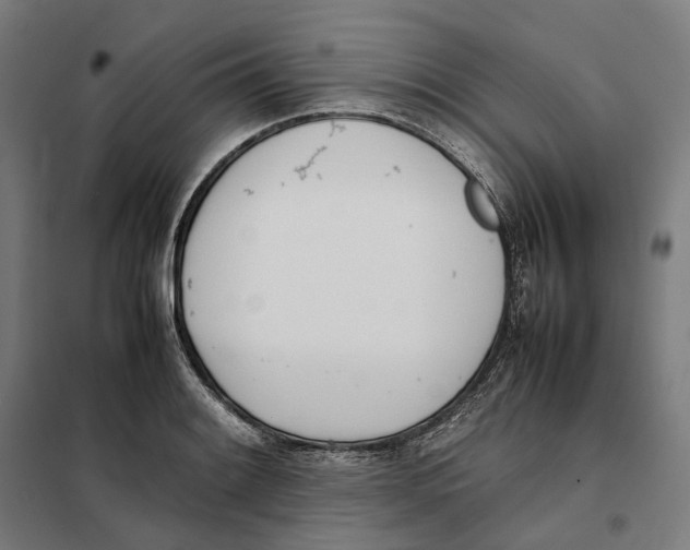 X0000101221084200807251106