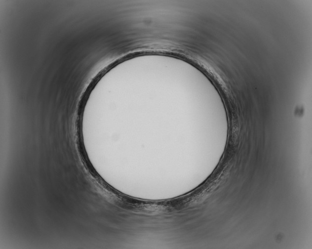 X0000101221085200807251106