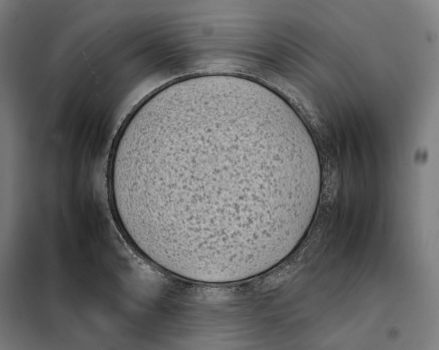 X0000101221086200807251106
