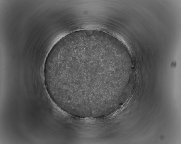 X0000101221087200807251106