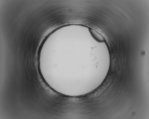 X0000101221088200807251106