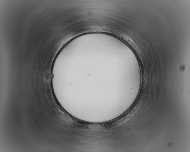 X0000101221089200807251106