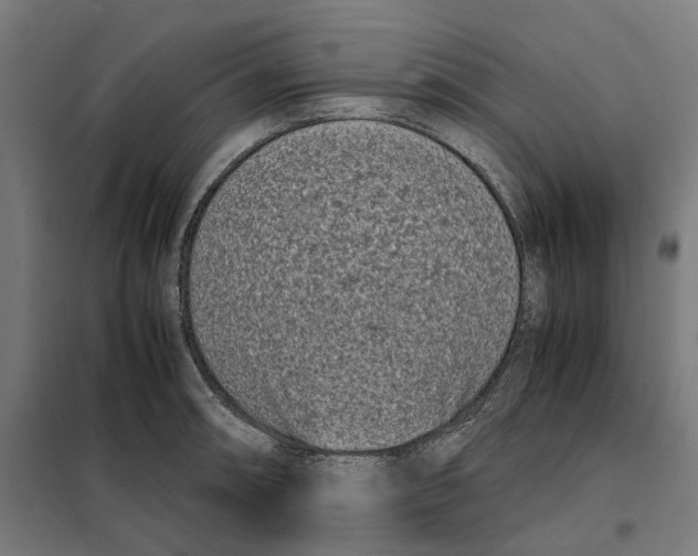 X0000101221090200807251106