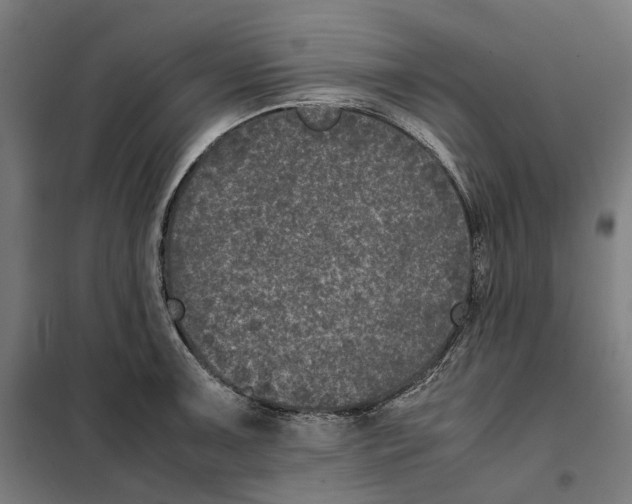 X0000101221091200807251106