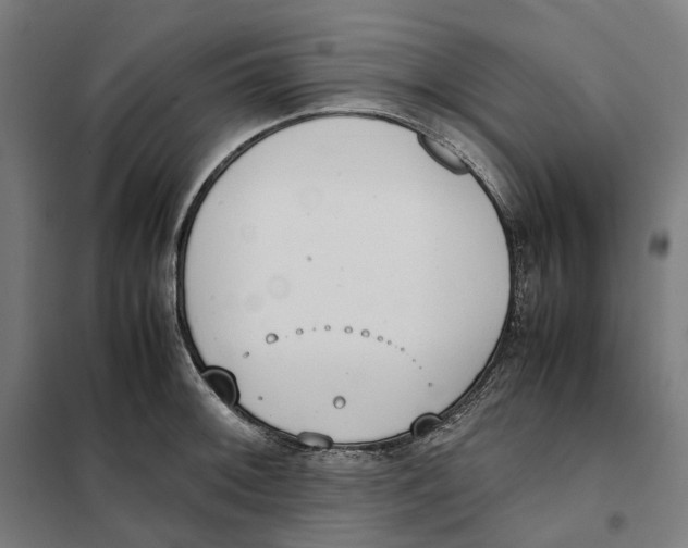 X0000101221092200807251106