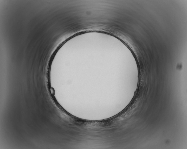 X0000101221093200807251106