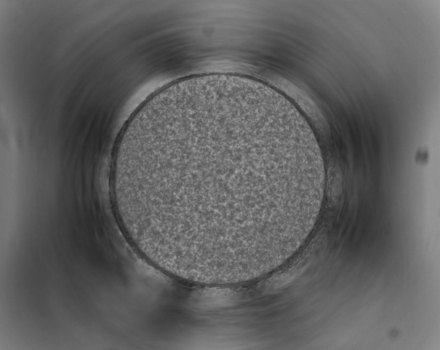 X0000101221094200807251106