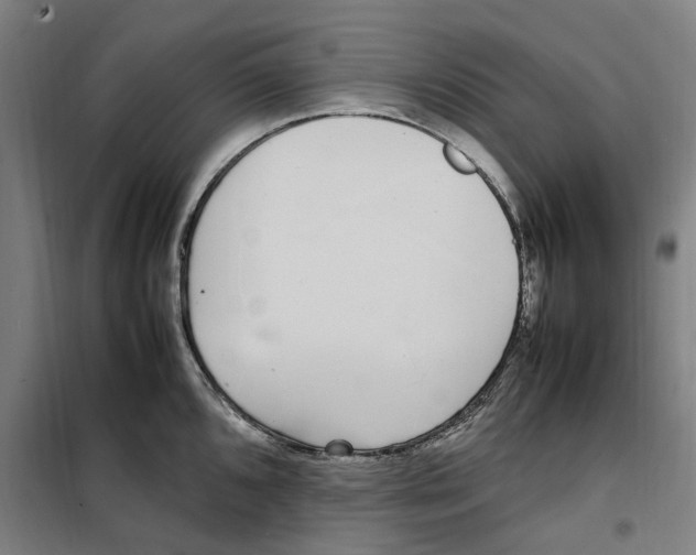 X0000101221096200807251106