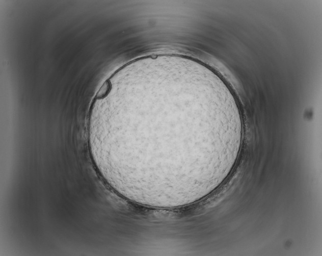 X0000101221097200807251106