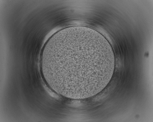 X0000101221098200807251106
