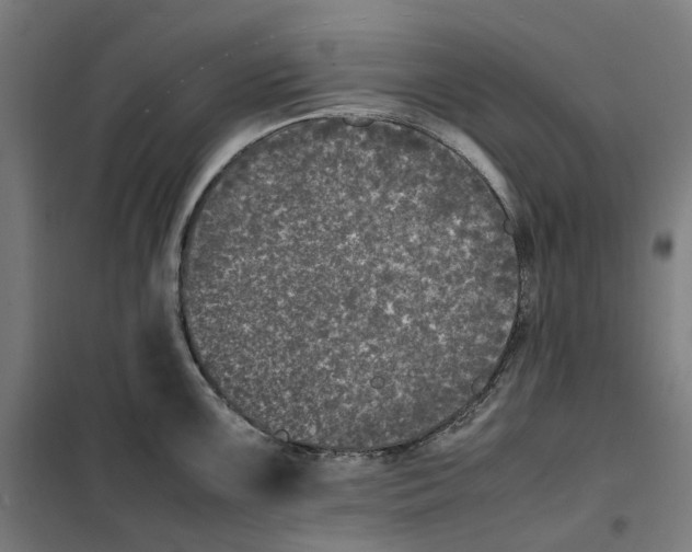 X0000101221099200807251106