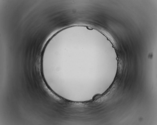 X0000101221100200807251106