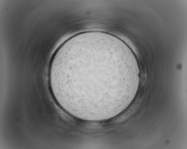 X0000101221101200807251106