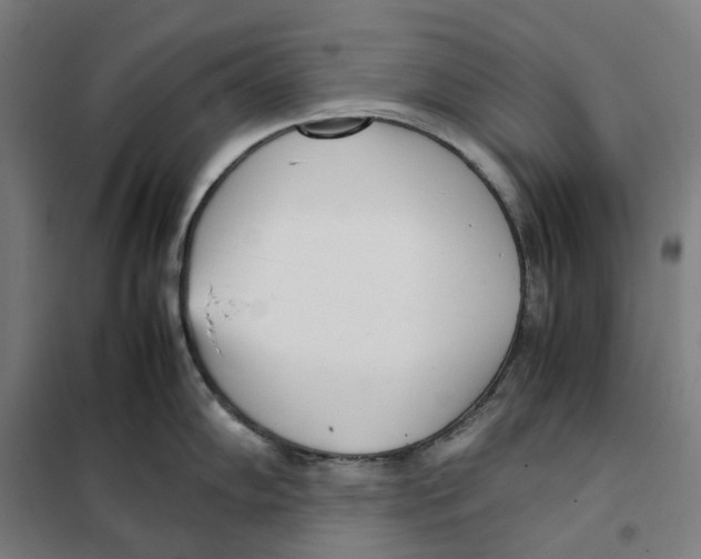 X0000101221102200807251106