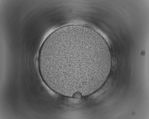 X0000101221103200807251106