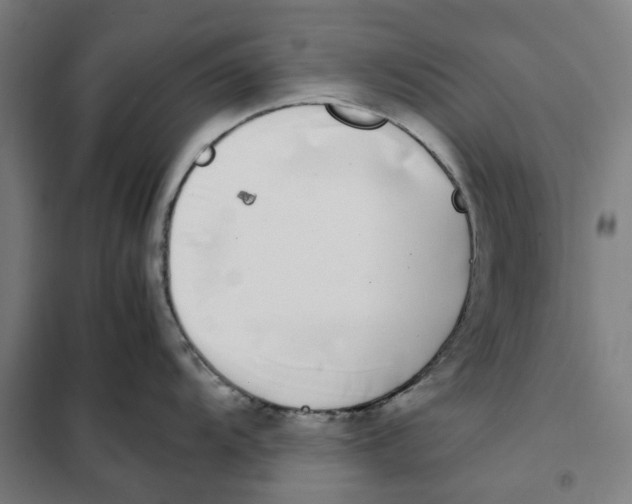 X0000101221104200807251105