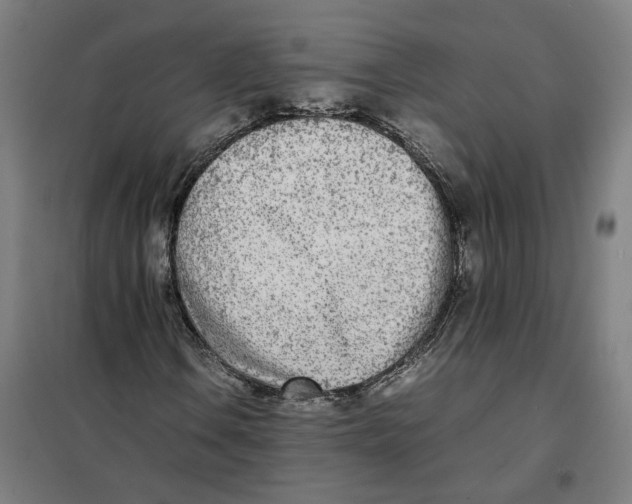 X0000101221106200807251105