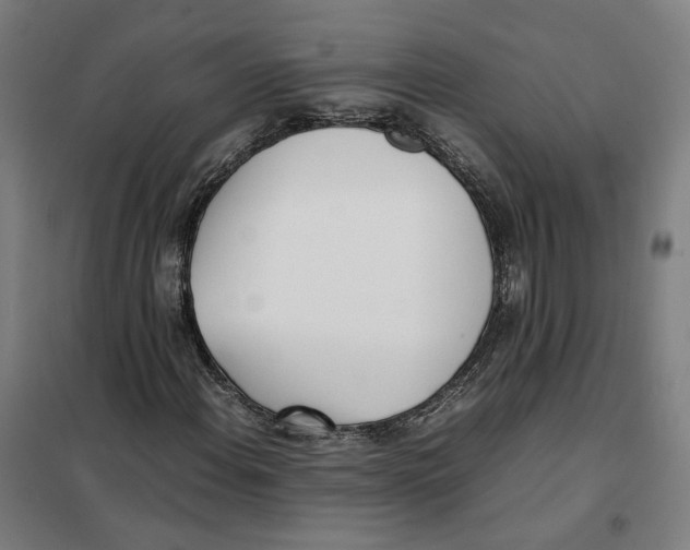X0000101221108200807251105