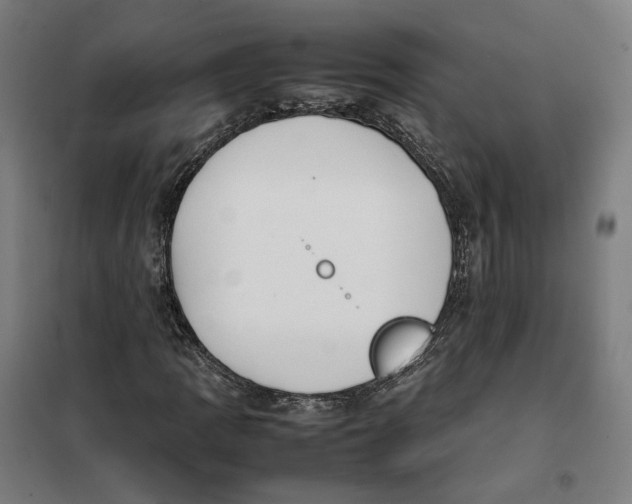 X0000101221109200807251105