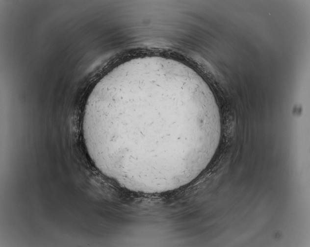 X0000101221110200807251105