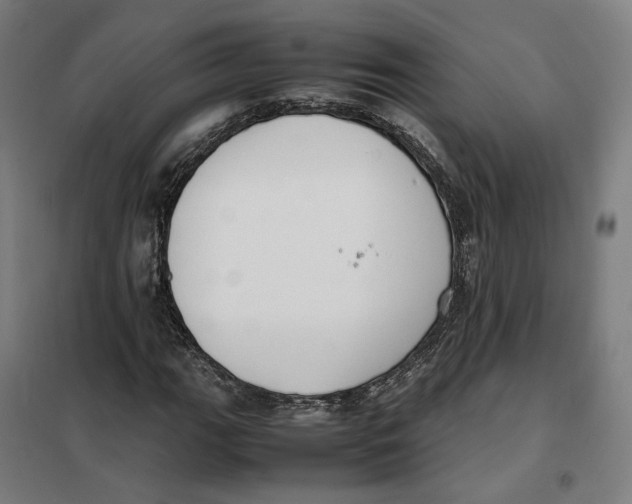 X0000101221111200807251105