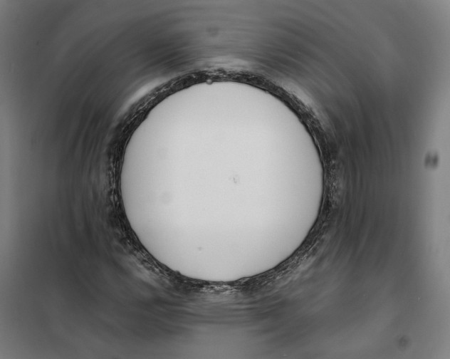 X0000101221112200807251105