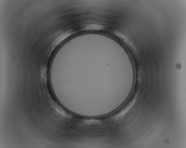 X0000101221113200807251105