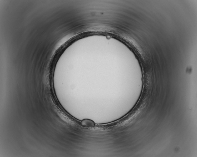 X0000101221114200807251105