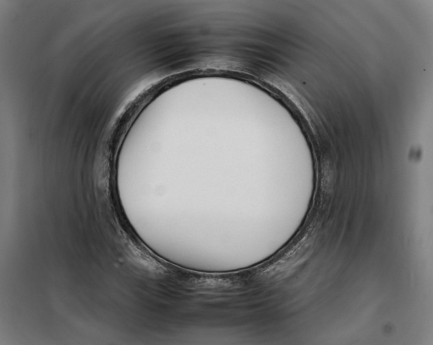 X0000101221115200807251105
