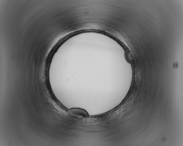 X0000101221116200807251105