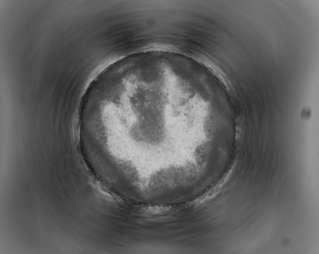 X0000101221117200807251105