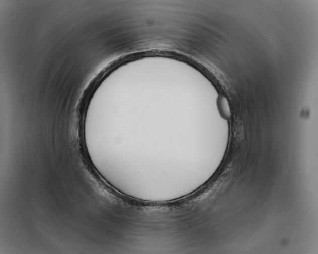 X0000101221118200807251105