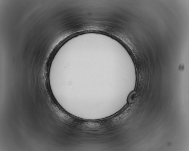 X0000101221119200807251105