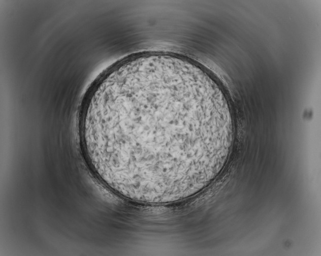 X0000101221120200807251105