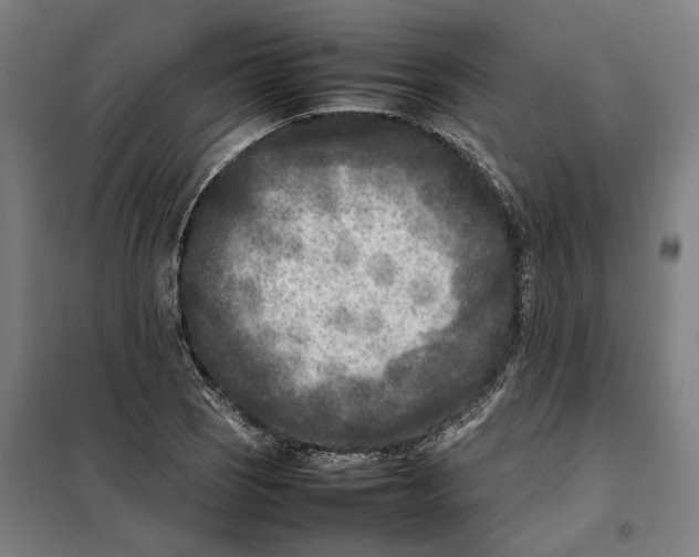 X0000101221121200807251105