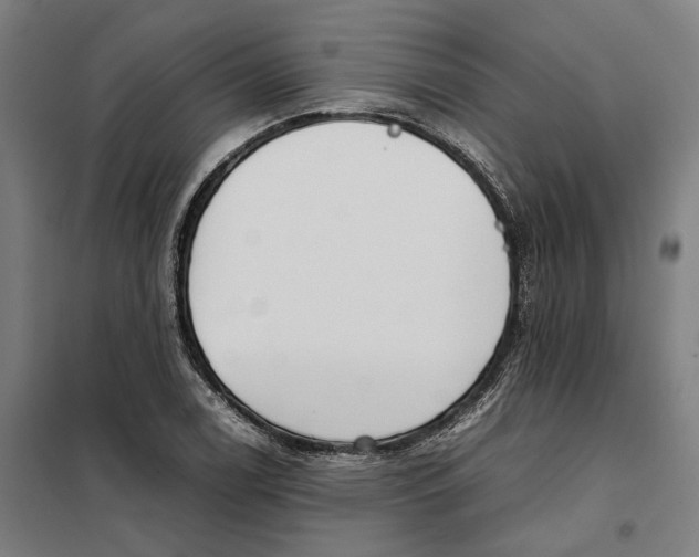 X0000101221122200807251105