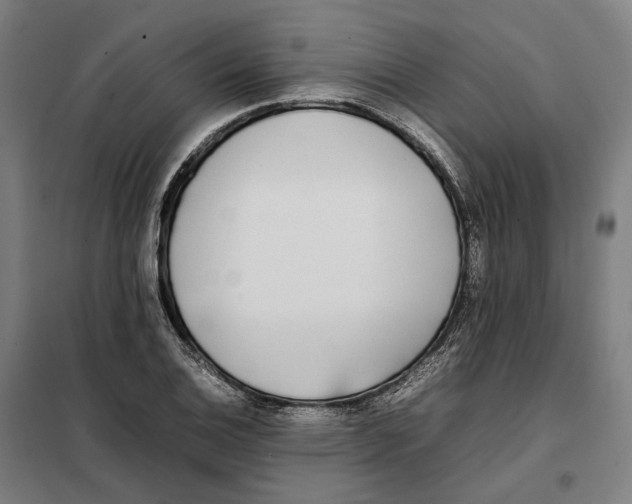 X0000101221124200807251105