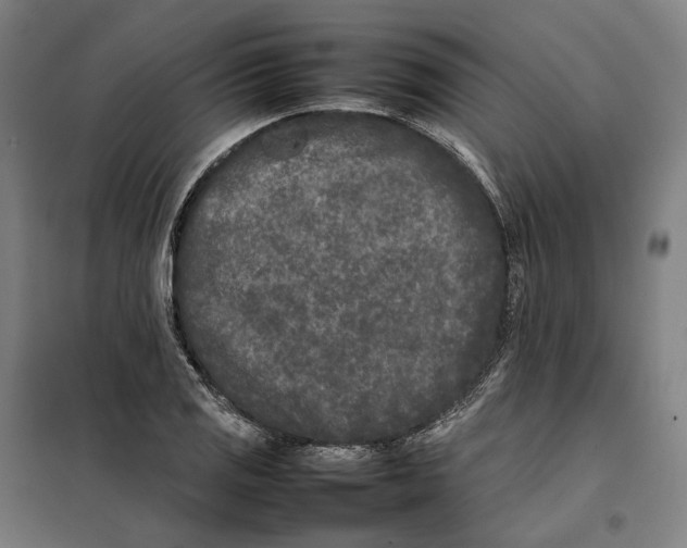 X0000101221125200807251105