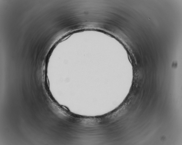 X0000101221126200807251105