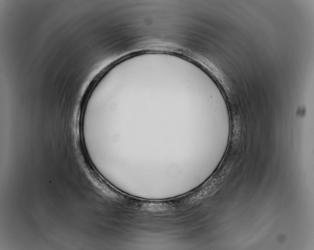 X0000101221128200807251105