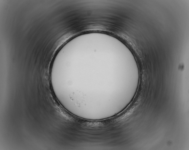 X0000101221129200807251105