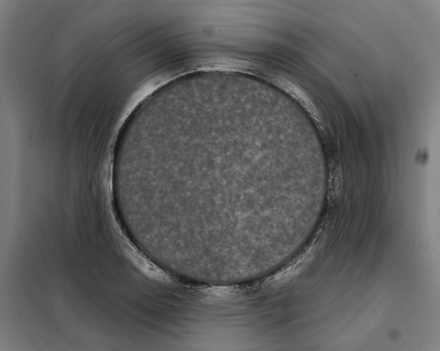 X0000101221130200807251105