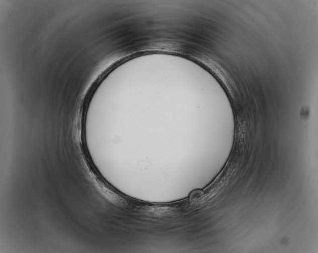 X0000101221131200807251105