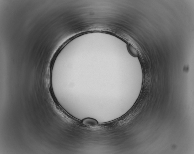 X0000101221132200807251105