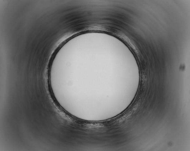 X0000101221133200807251105