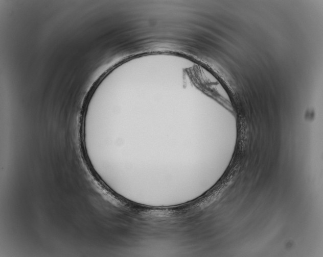 X0000101221134200807251105