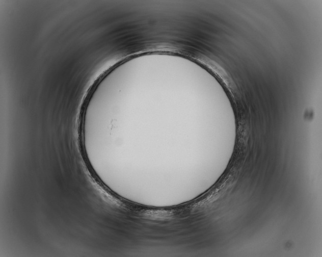 X0000101221135200807251105