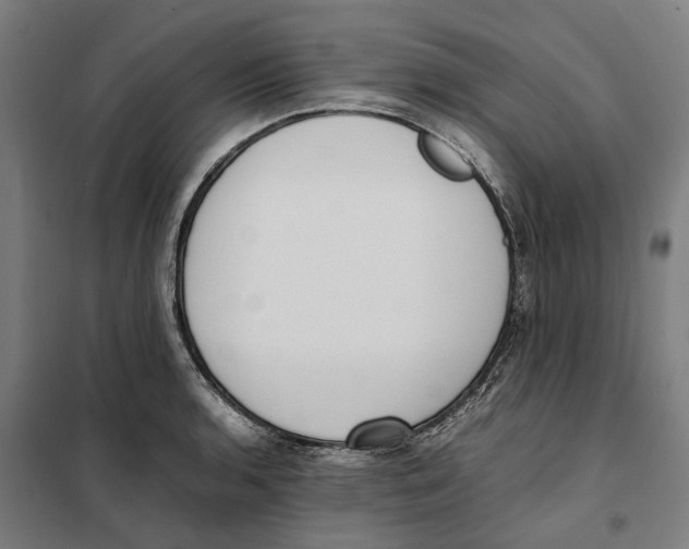 X0000101221136200807251105