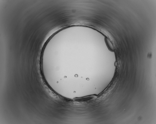 X0000101221138200807251105