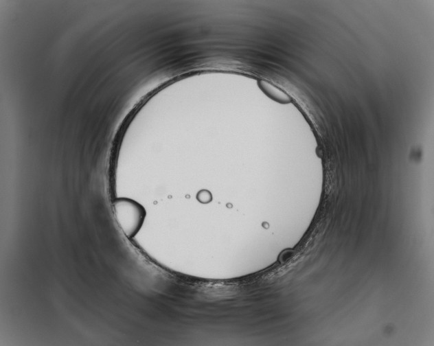 X0000101221139200807251105